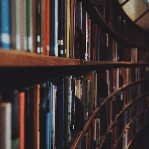 Brown Wooden Book Shelves with Books - Free Use